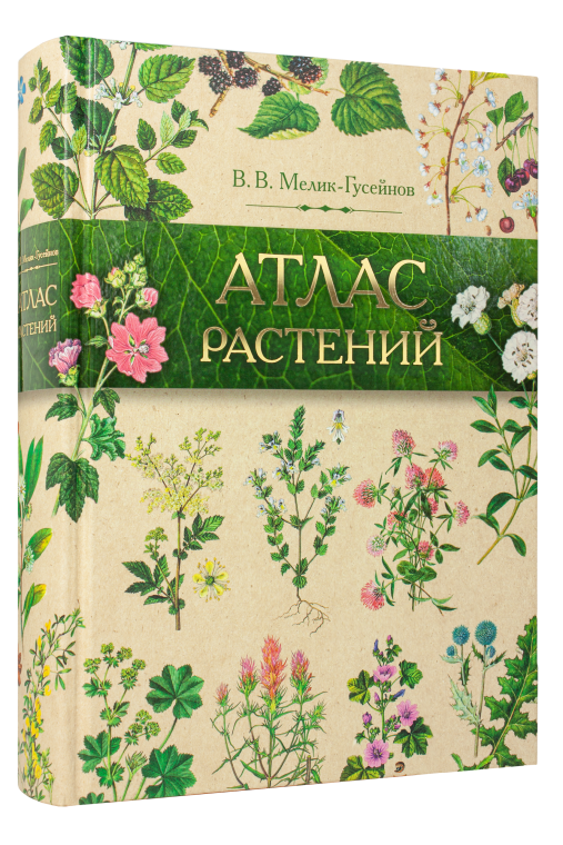 Праздничные скидки с 16 февраля по 8 марта