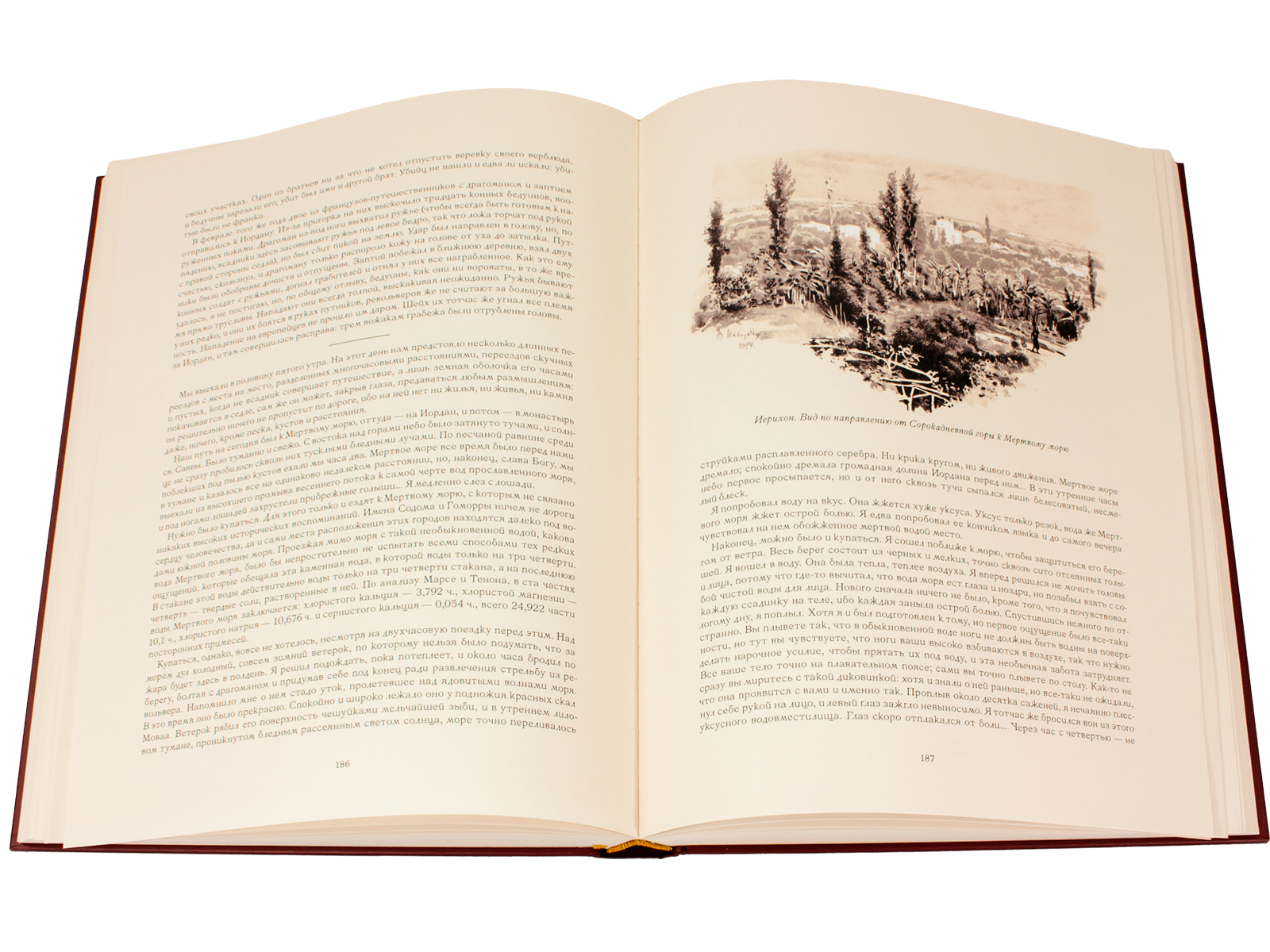 Палестина - изображение 11