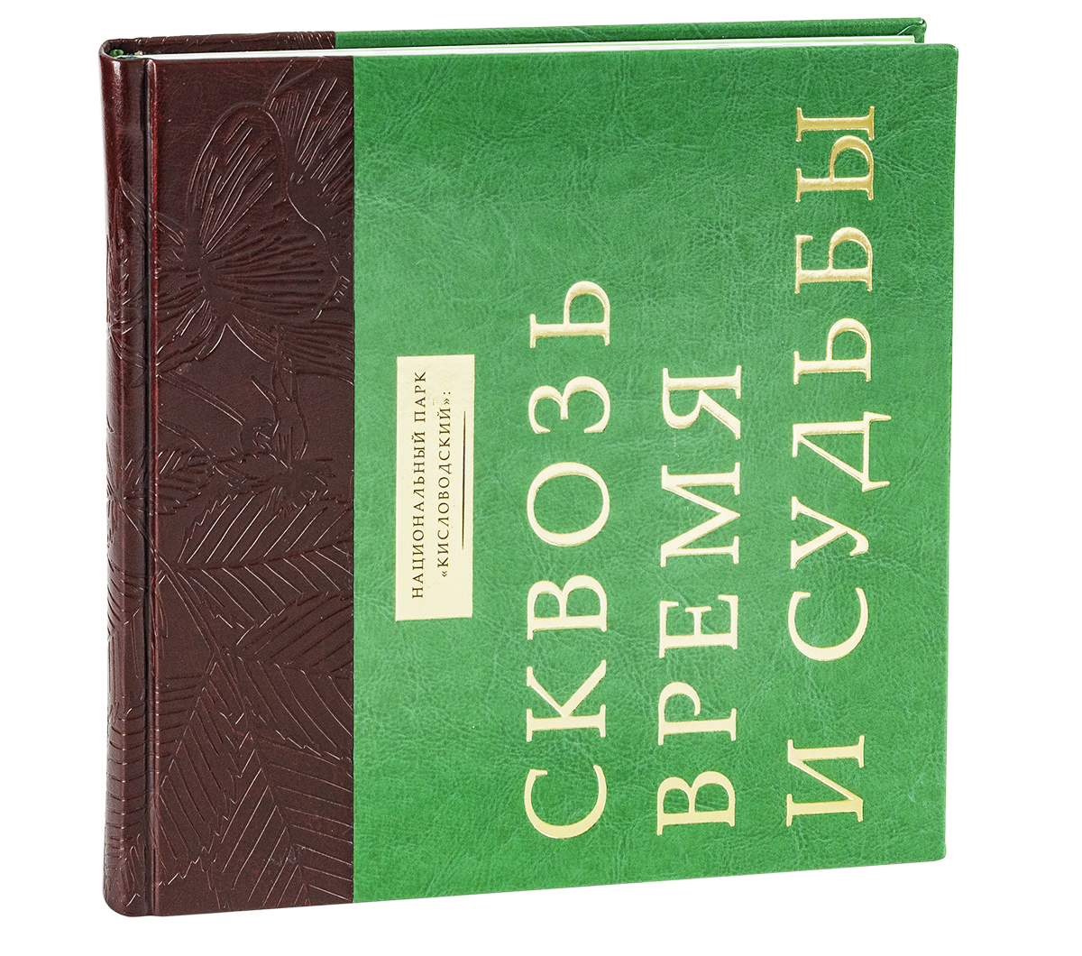 Сквозь время и судьбы