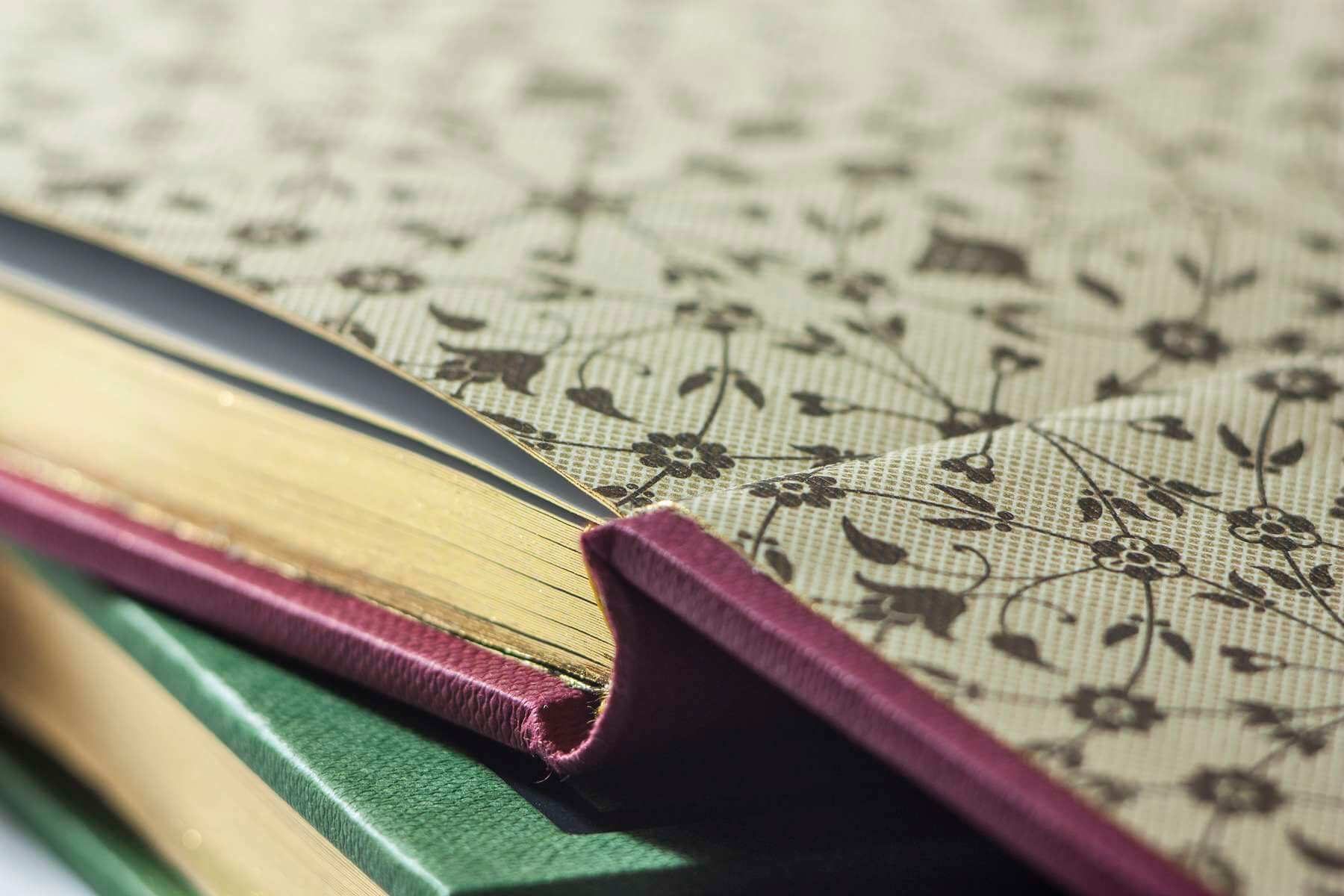 Родные отголоски - изображение 9