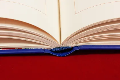 Сказки русского народа в пяти книгах. Книга первая. - миниатюра 11