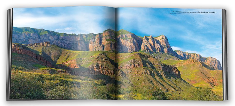 «Кабардино-Балкария. Красота спасёт мир» - изображение 4