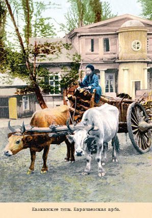 Набор открыток «Кавказские типы 5» - изображение 2