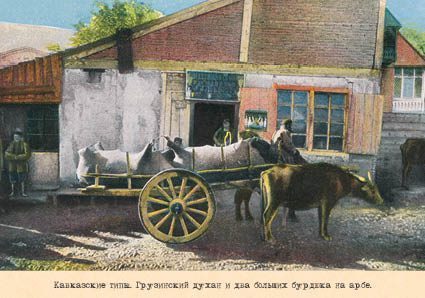 Набор открыток «Кавказские типы 1» - изображение 2