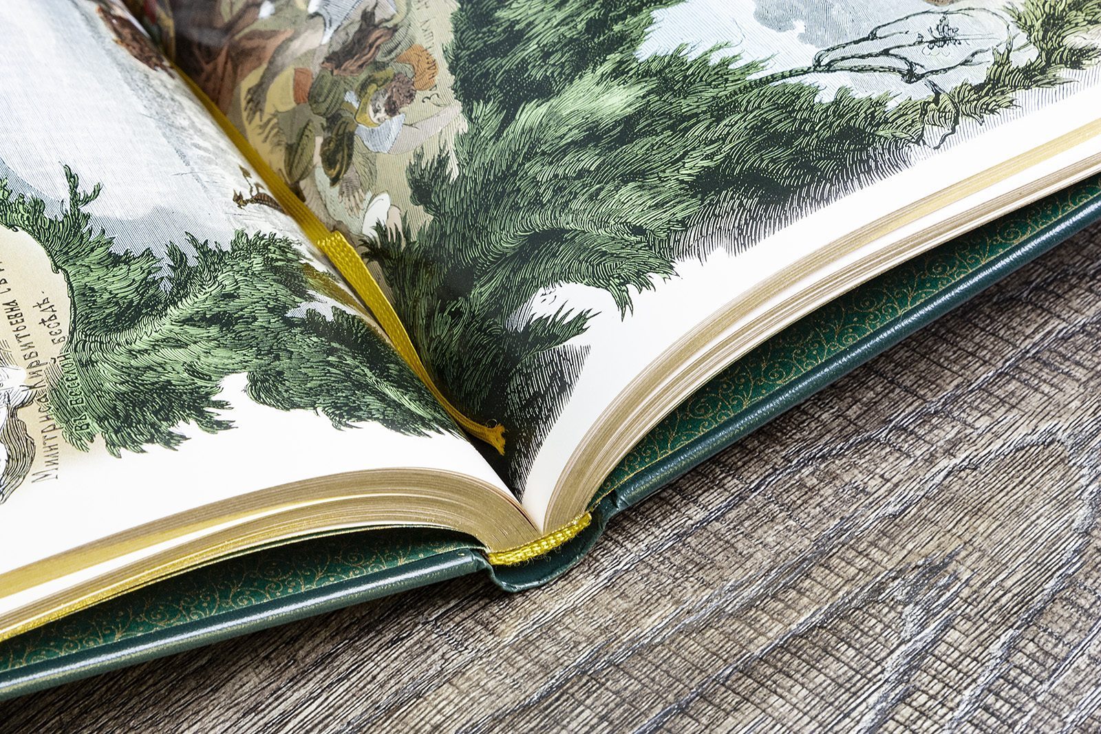 Русские сказки и былины - изображение 15