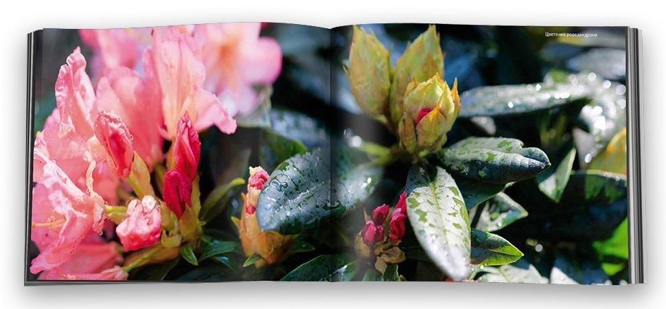 «Эльбрус. Новый взгляд» - изображение 12