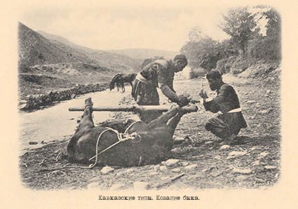 Набор открыток «Кавказские типы 2» - изображение 5