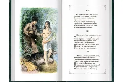 Стихотворения и поэмы - миниатюра 9