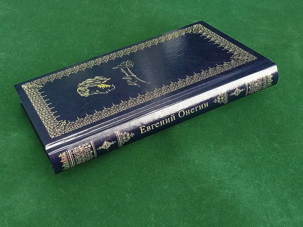 Евгений Онегин - изображение 5