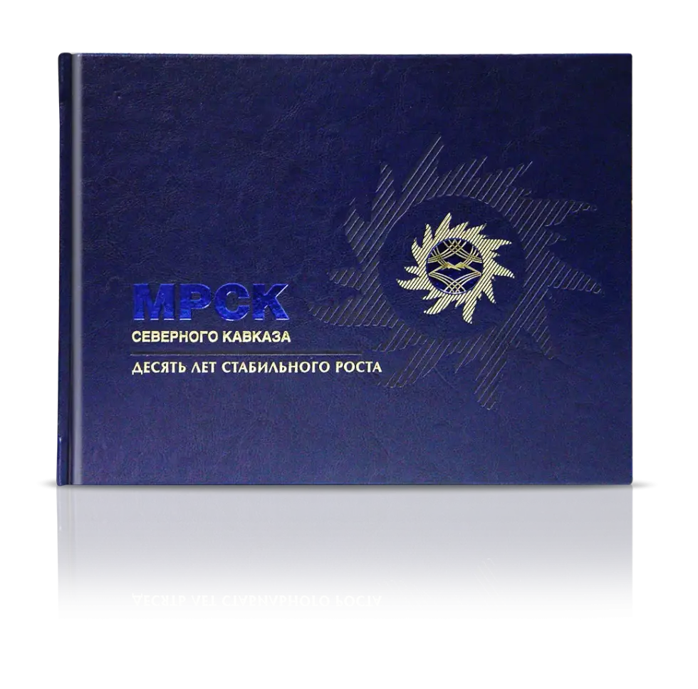 «МРСК Северного Кавказа. Десять лет стабильного роста»