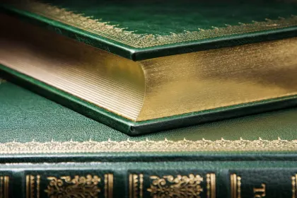 Кавказские произведения. Премиум - миниатюра 13