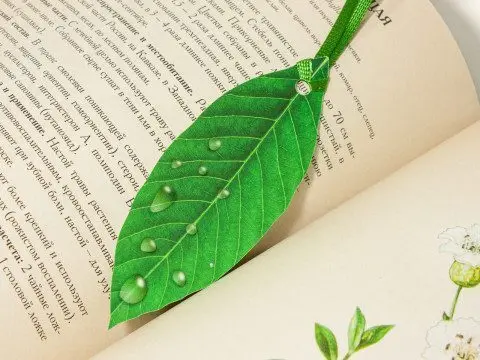 «Атлас растений» - изображение 4