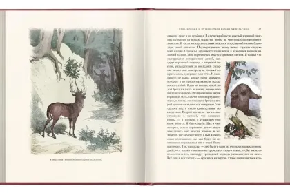 «Приключения барона Мюнхгаузена» - миниатюра 7