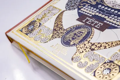 Лис Патрикеич - миниатюра 9