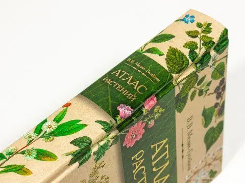 «Атлас растений» - изображение 7