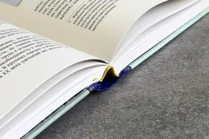 Истории курортной жизни на Водах начала XX века (Книга II) - миниатюра 21