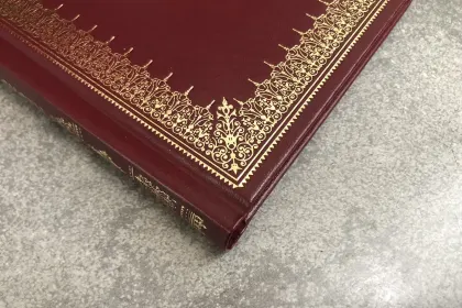 Шекспир. Сонеты - миниатюра 9