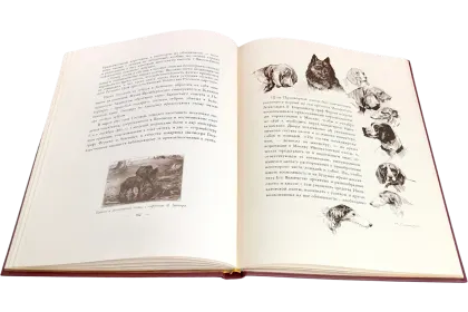 Императорская охота на Руси. Конец XVIII и XIХ век (Том IV) - миниатюра 12