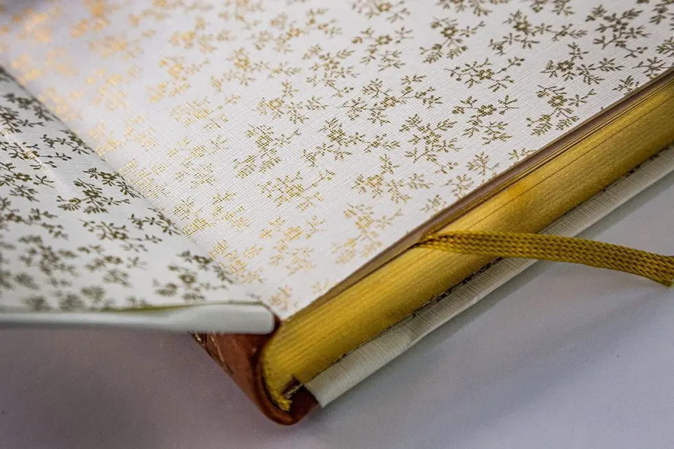 Лис Патрикеич - изображение 15