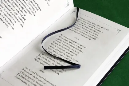 Евгений Онегин - миниатюра 21