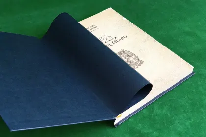 Северный Кавказ: Власть. Суд. Право - миниатюра 13