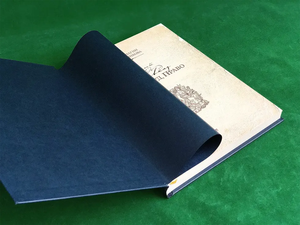 Северный Кавказ: Власть. Суд. Право - изображение 13