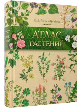 «Атлас растений» - изображение 26