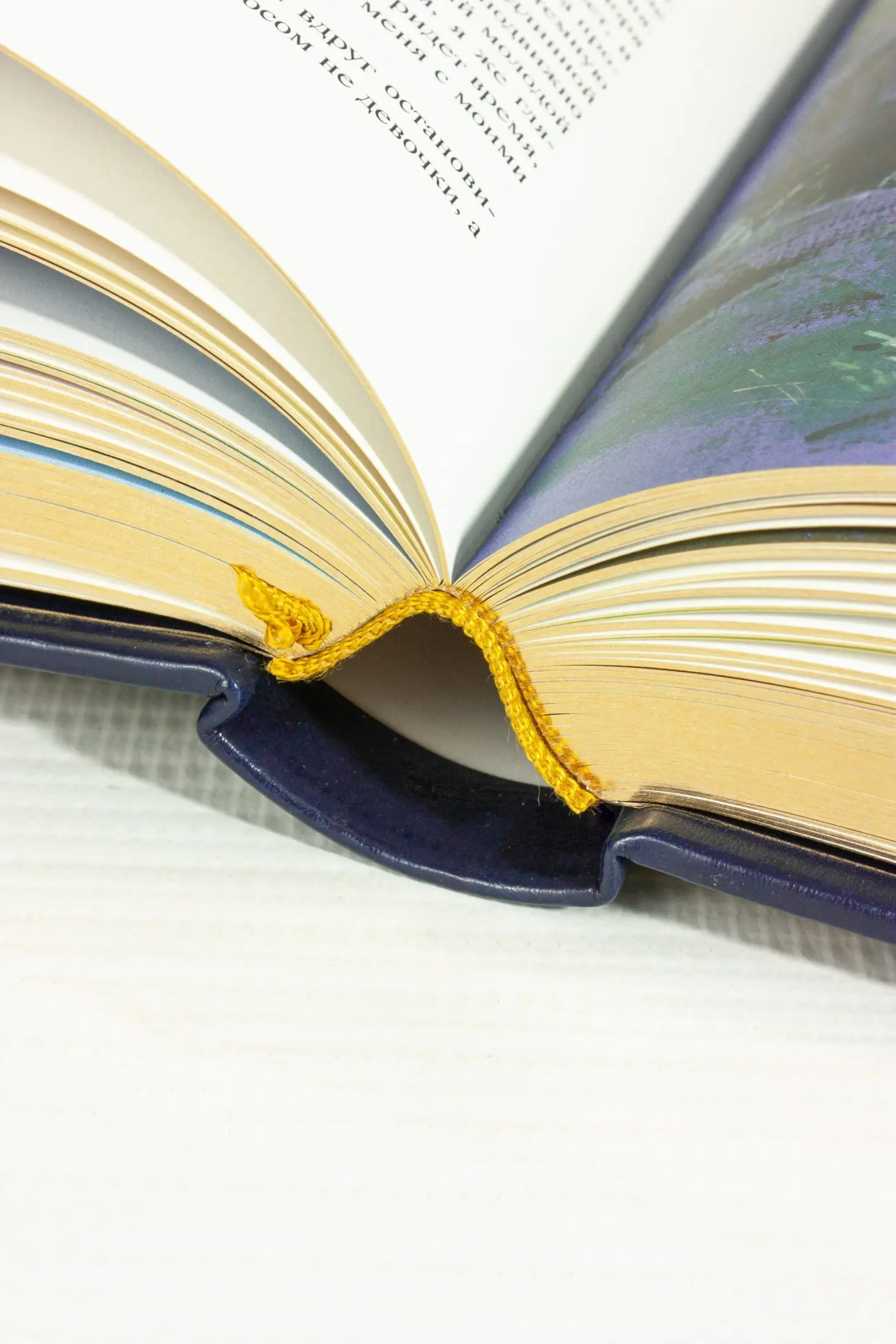 А. П. Чехов «Повести и рассказы». Премиум - изображение 17