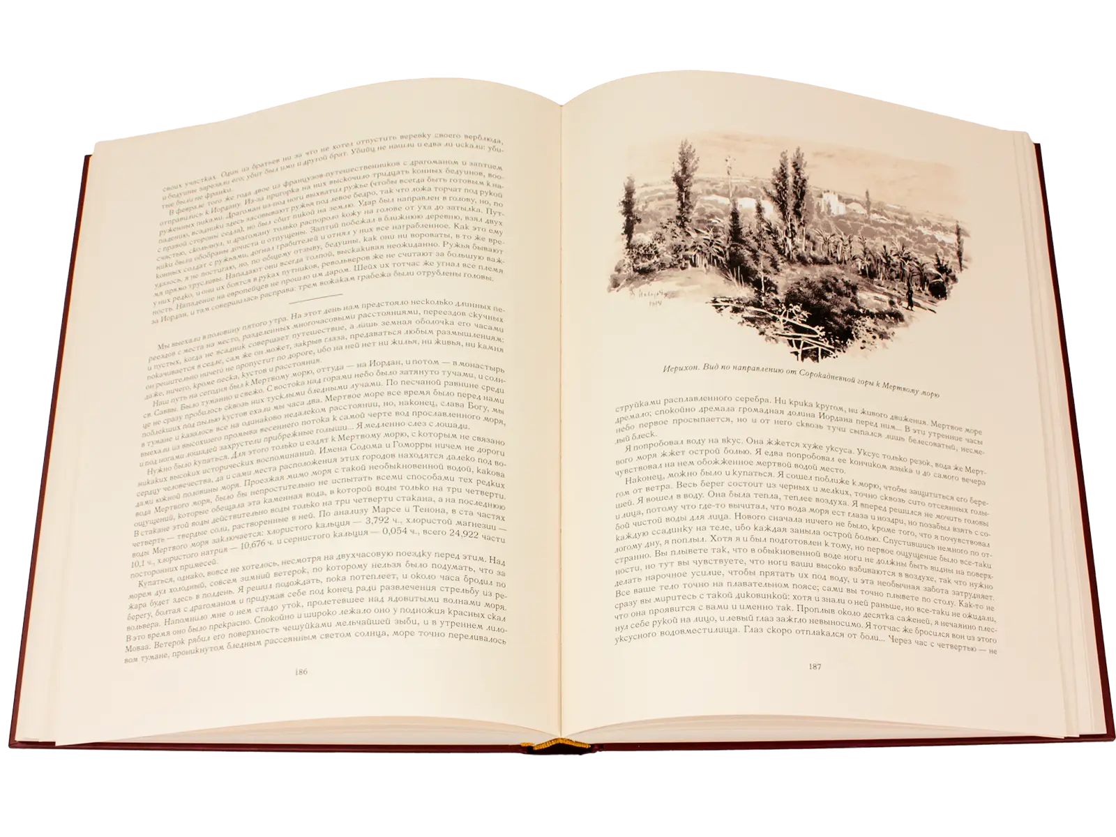 Палестина - изображение 11